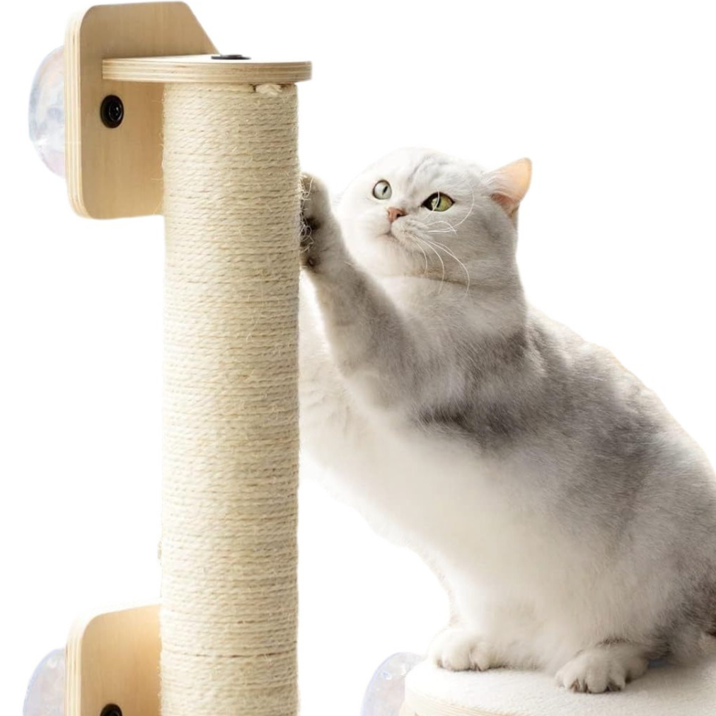 Pawlume Suction Cup Cat Climbing Platform - Elevate Your Cat's Adventure