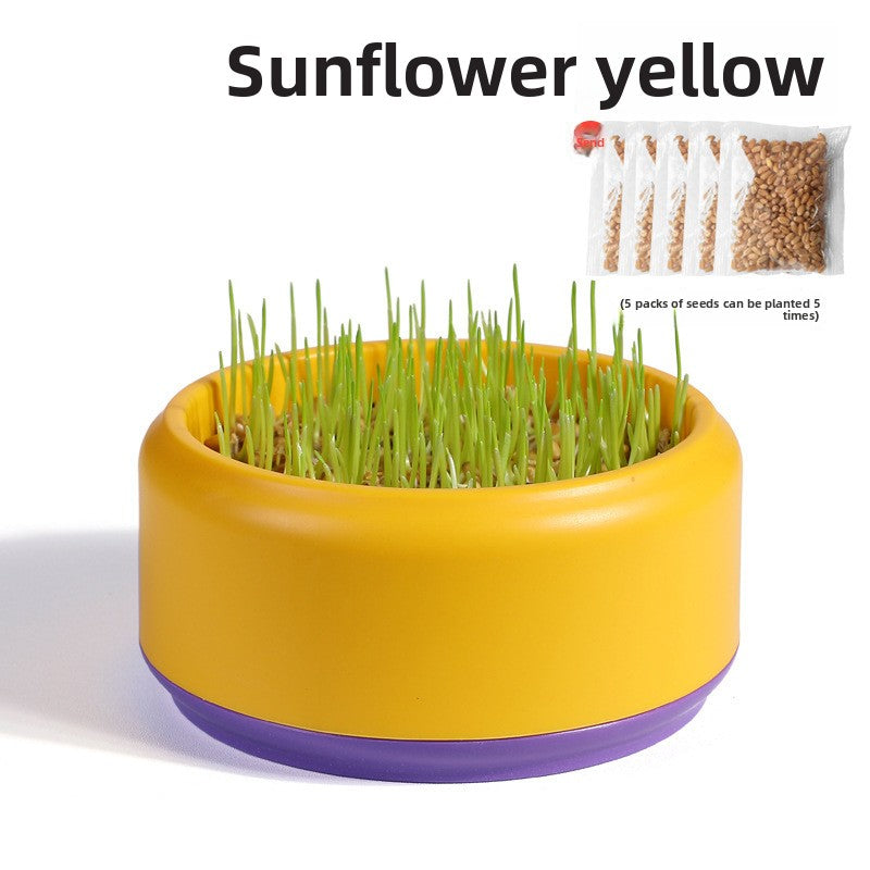 Pawlume Hydroponic Cat Grass Kit