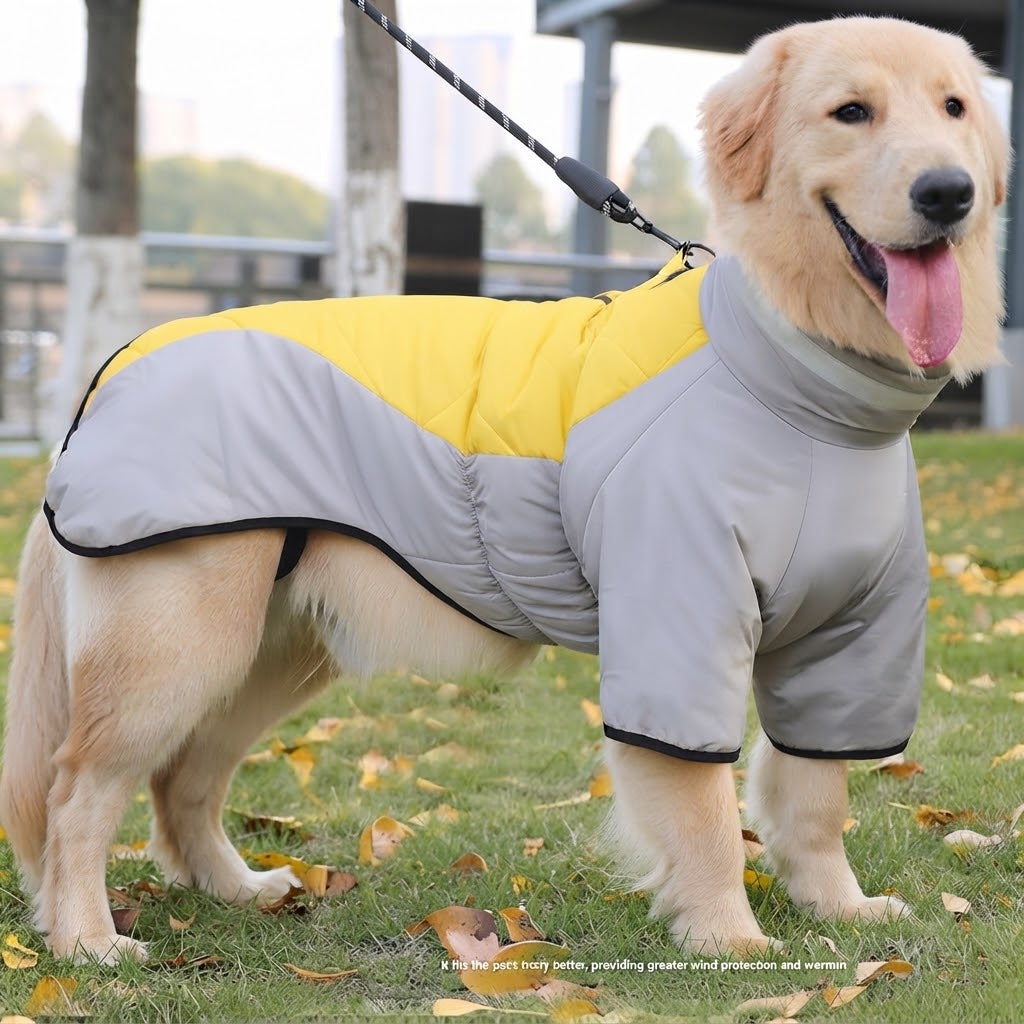Pawlume Reflective Dog Jacket for Greyhounds and Whippets - Ultimate Warmth, Style, and Safety