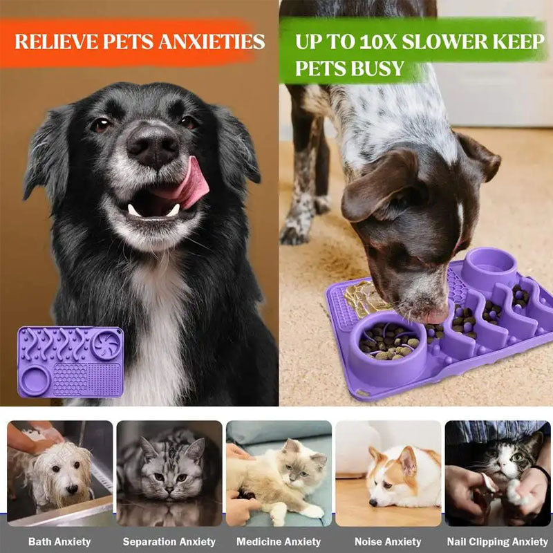 Pawlume Slow Feeder Bundle Premium