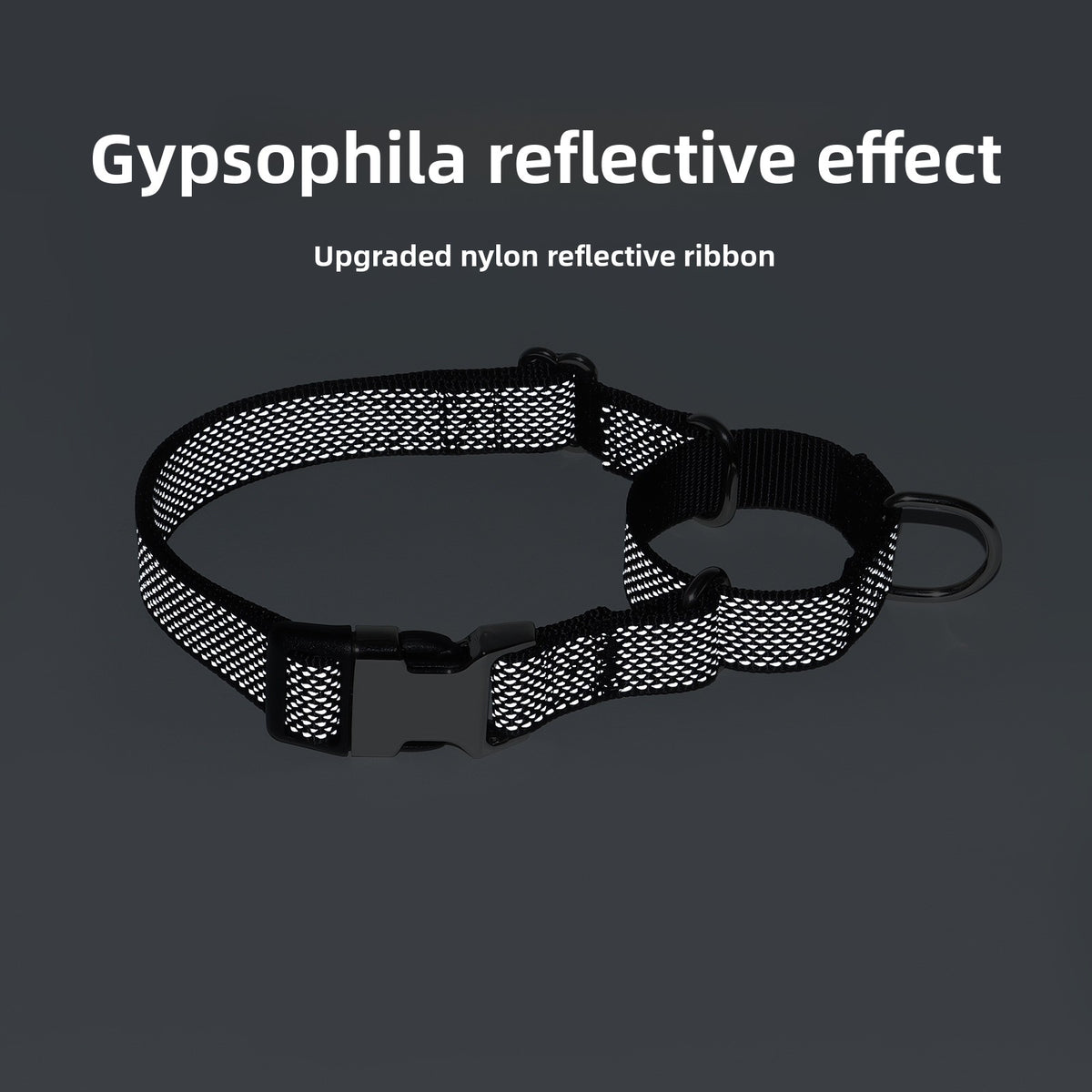 Pawlume Reflective Martingale Dog Collar: Safety Meets Style for Your Pup