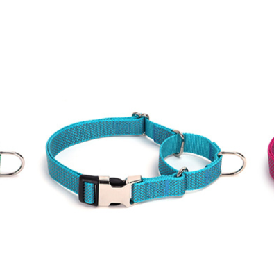 Pawlume Reflective Martingale Dog Collar: Safety Meets Style for Your Pup