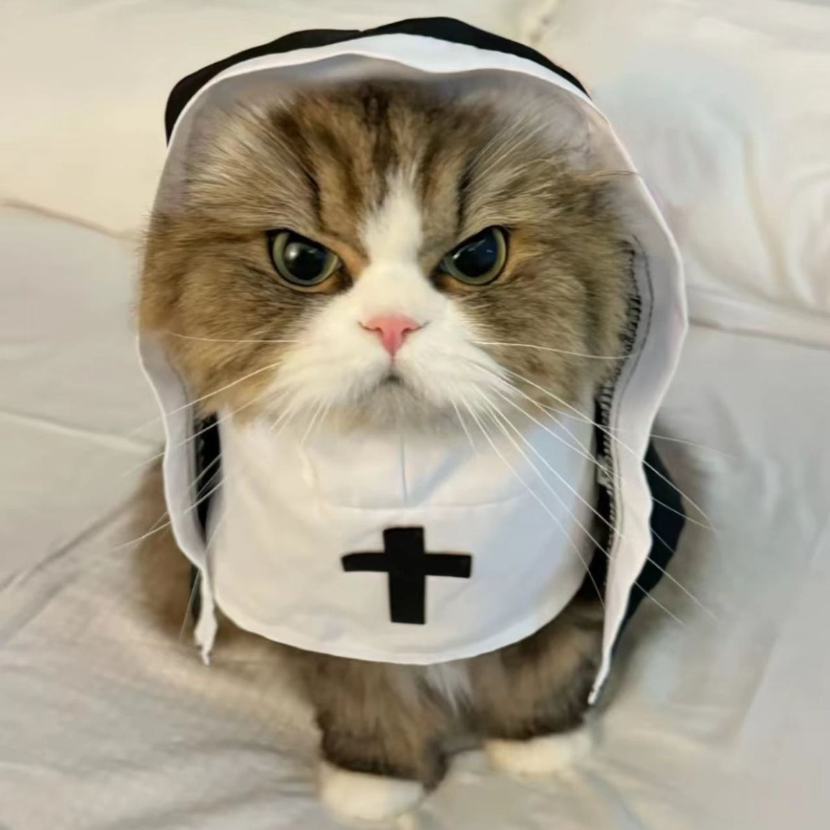 Pawlume Pet Nun Costume Halloween - Gothic Cloak for Pets