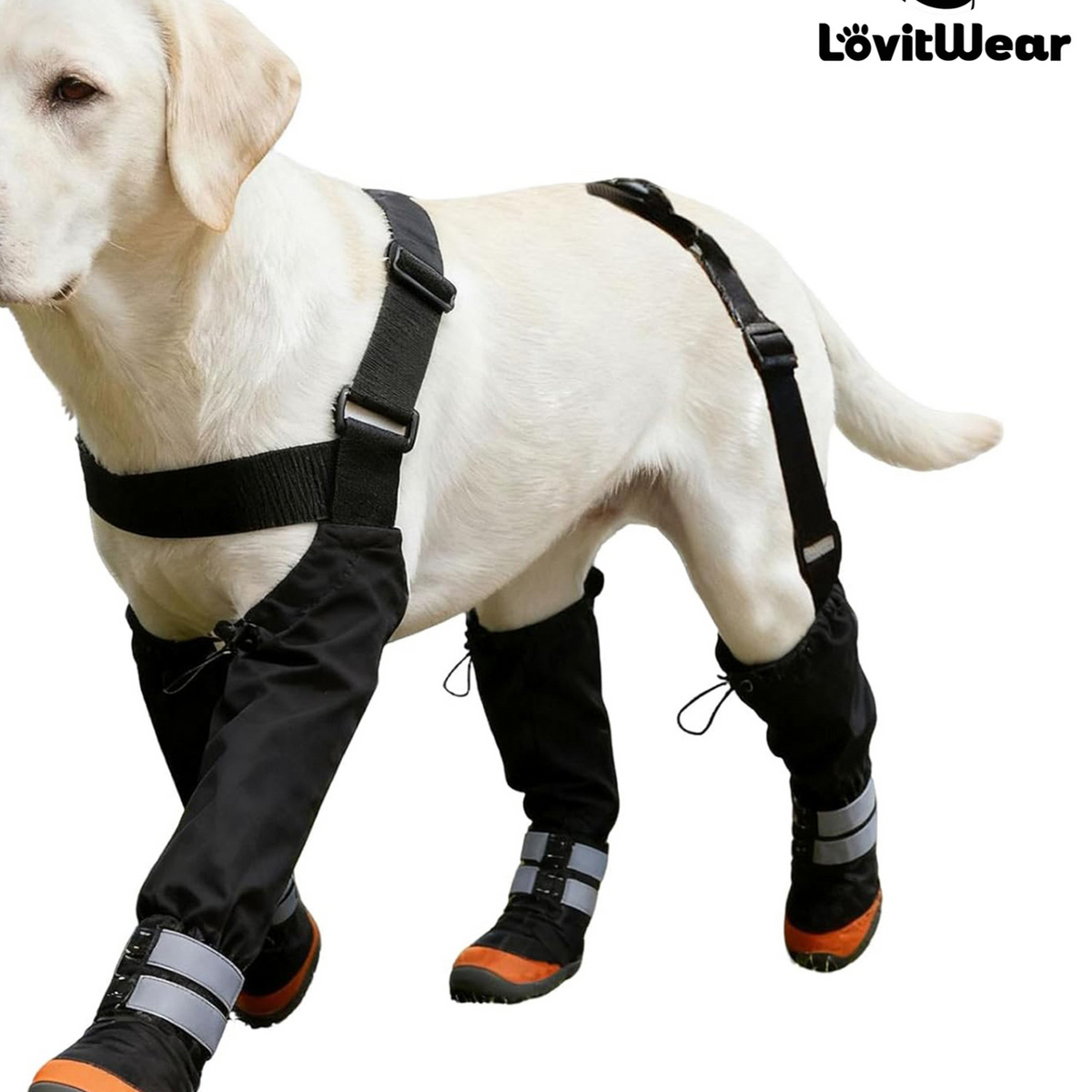 Pawlume Adjustable Anti-Slip Dog Shoes for Ultimate Paw Protection