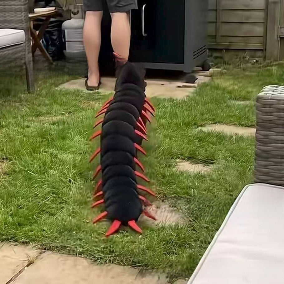 Pawlume Halloween Cockroach Pet Costume