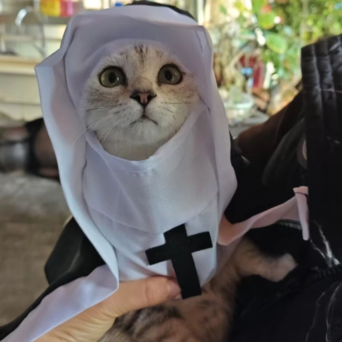 Pawlume Pet Nun Costume Halloween - Gothic Cloak for Pets