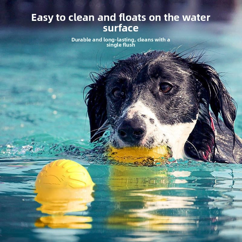 Pawlume Pet Frisbee Chewing Toy - Durable Fun for Your Furry Friend