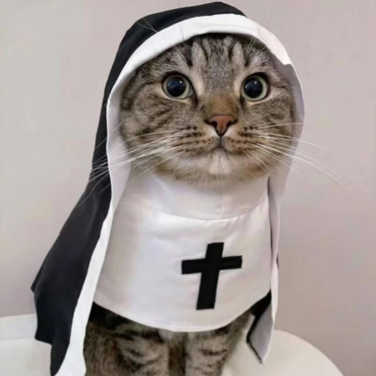 Pawlume Pet Nun Costume Halloween - Gothic Cloak for Pets