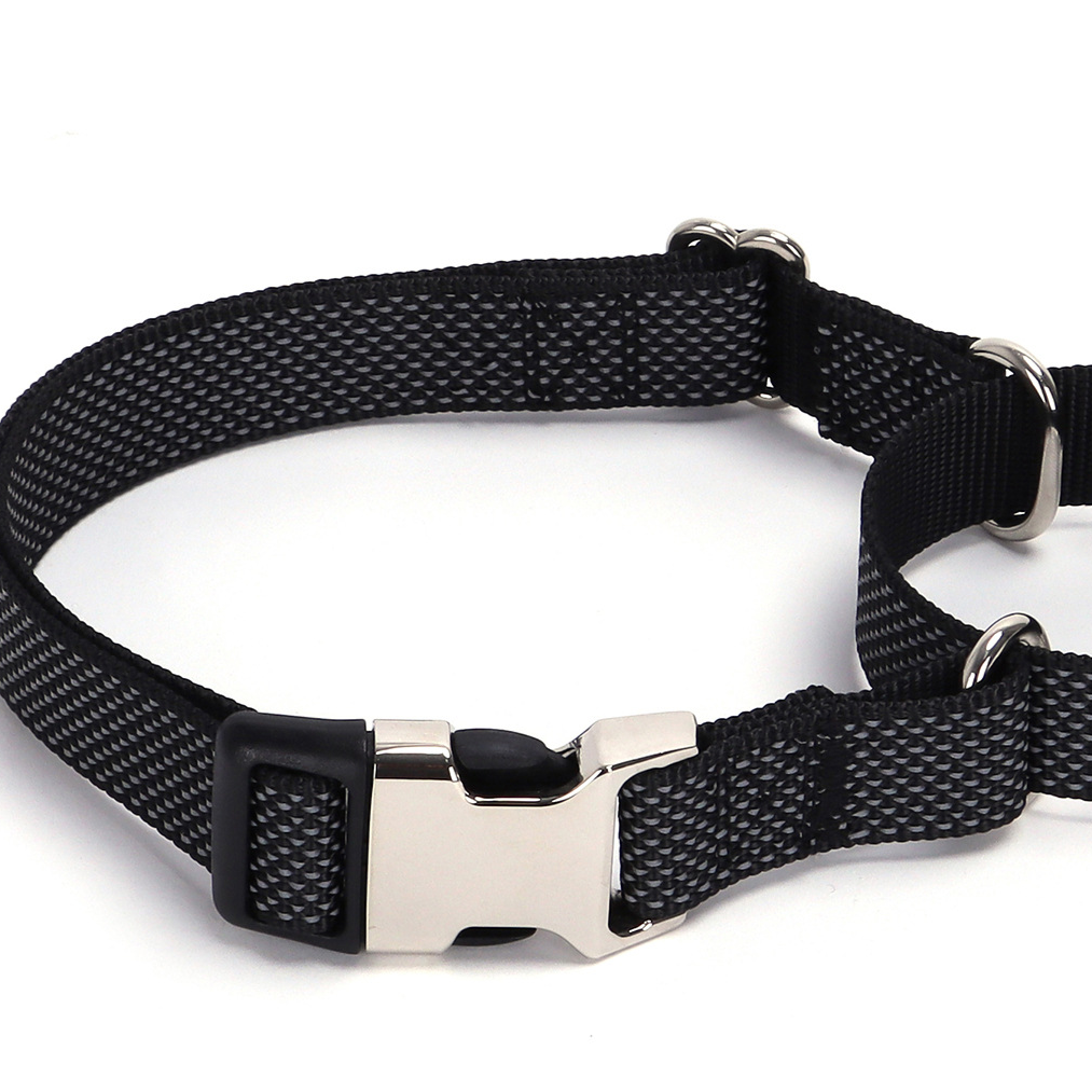 Pawlume Reflective Martingale Dog Collar: Safety Meets Style for Your Pup