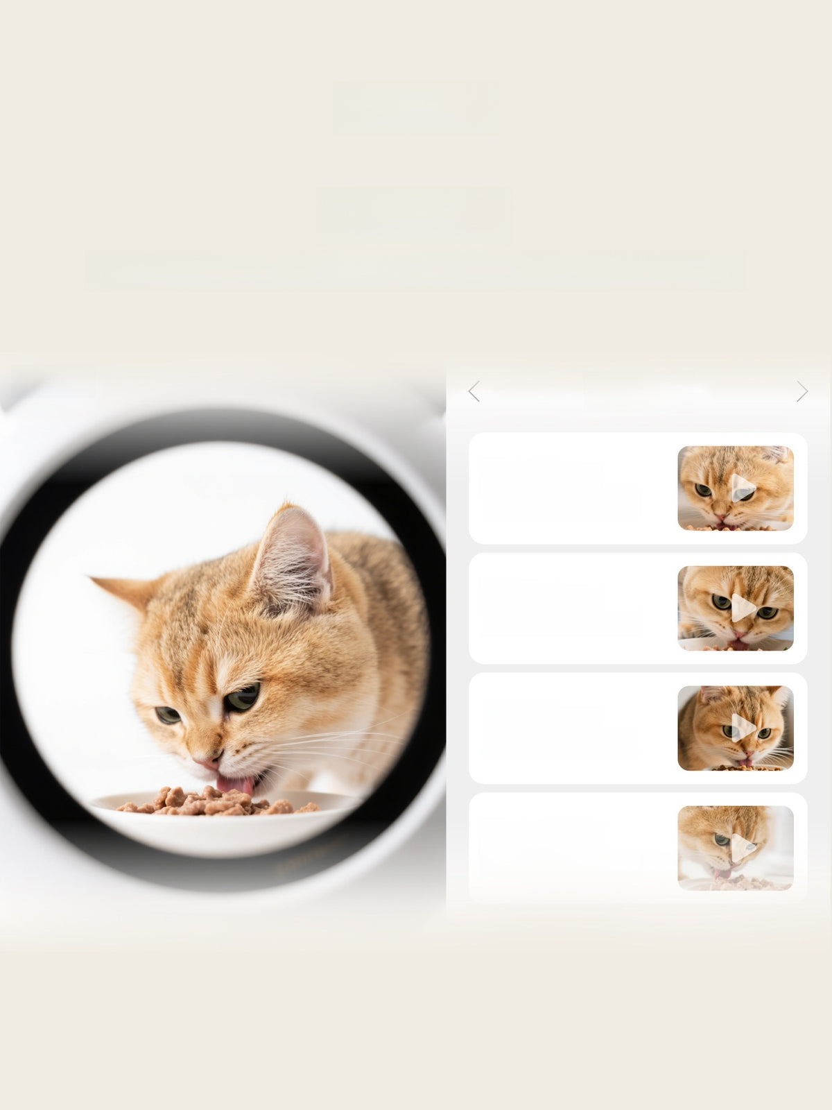 Pawlume Premium Automatic Pet Feeder