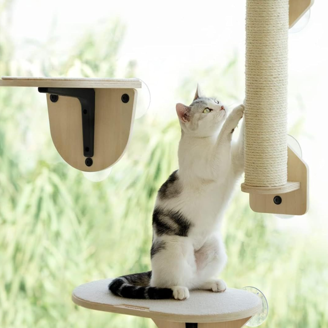Pawlume Window Cat Corner Bundle