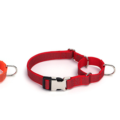 Pawlume Reflective Martingale Dog Collar: Safety Meets Style for Your Pup