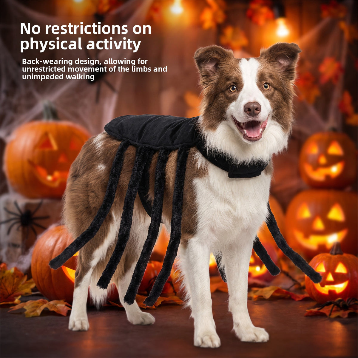 Pawlume Halloween Pet Harness Costume