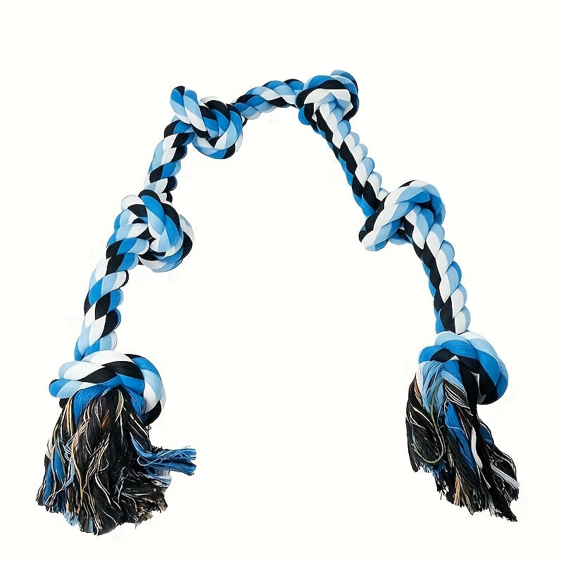 Pawlume Training & Chew Bundle