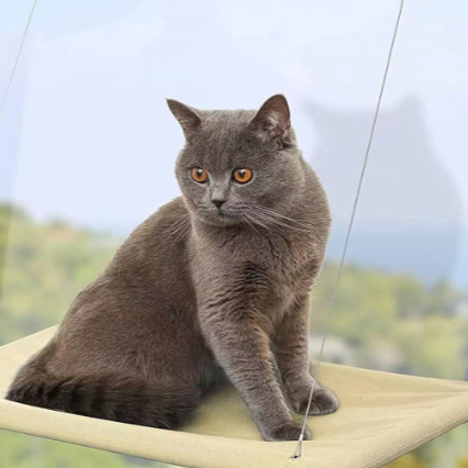 Pawlume Window Cat Hammock - Elevate Your Cat's Comfort and View