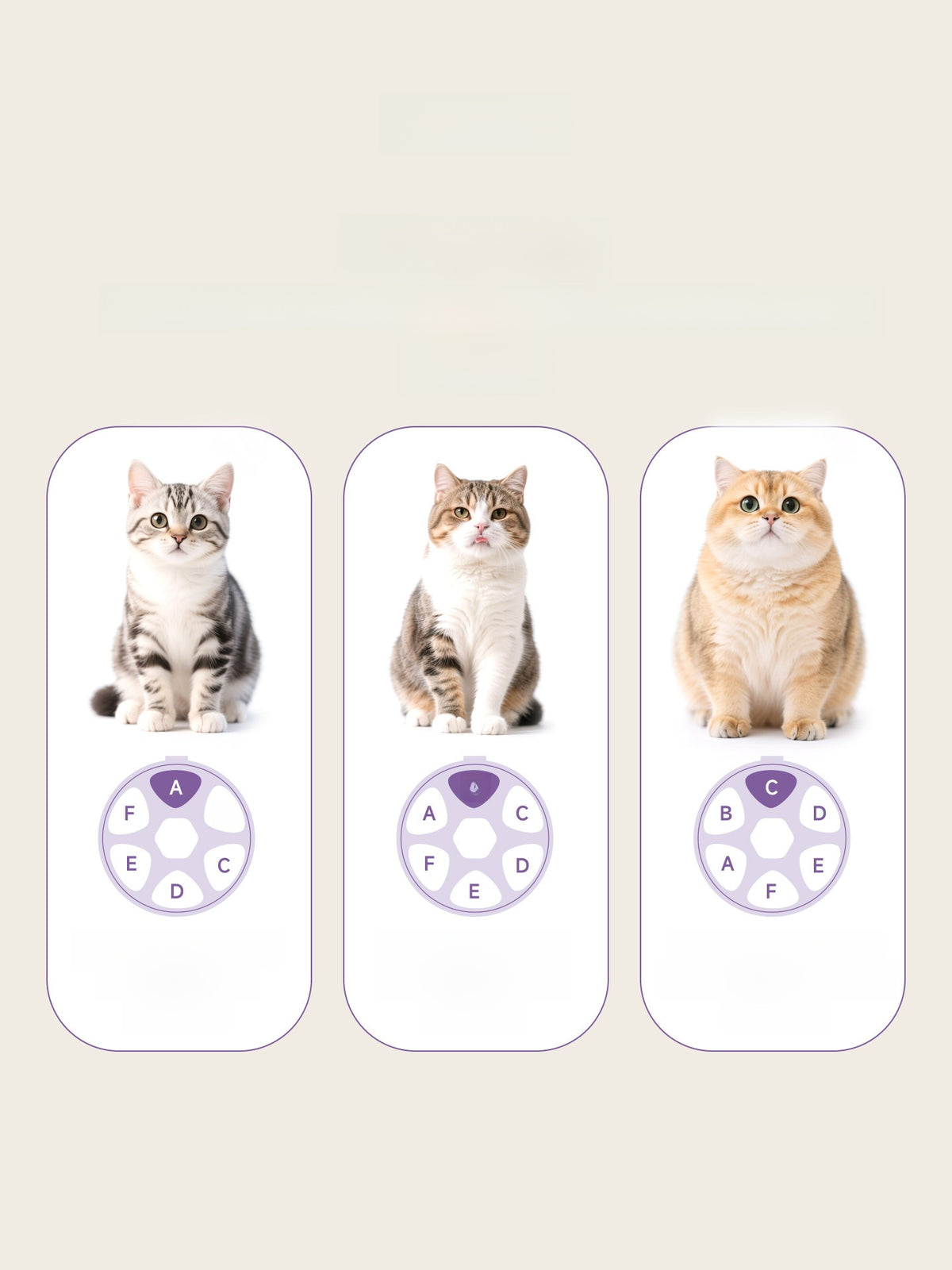 Pawlume Premium Automatic Pet Feeder