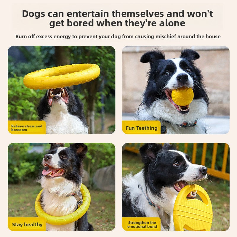 Pawlume Pet Frisbee Chewing Toy - Durable Fun for Your Furry Friend