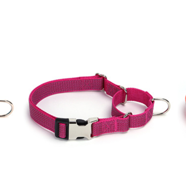 Pawlume Reflective Martingale Dog Collar: Safety Meets Style for Your Pup