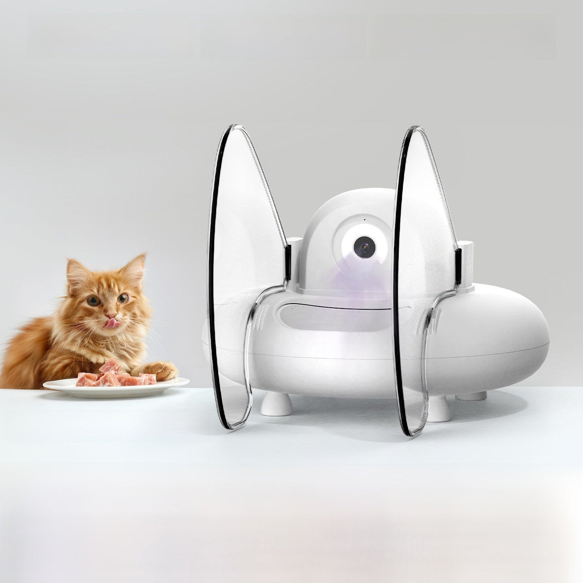 Pawlume Premium Automatic Pet Feeder