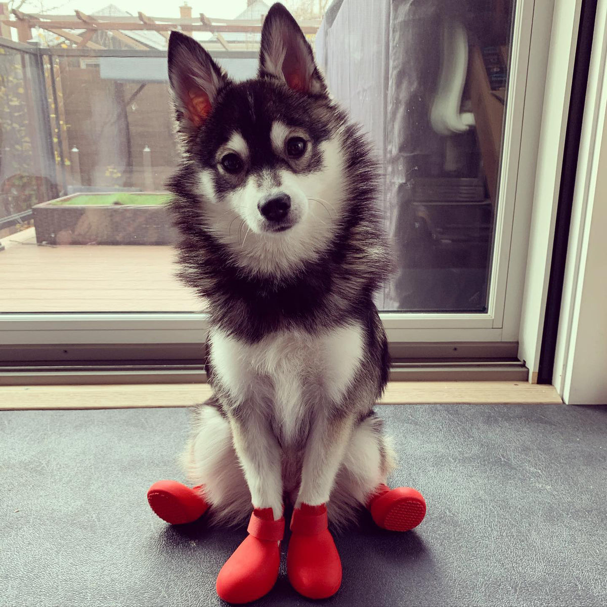 Pawlume Anti-Slip Dog Rain Boots - Keep Your Pup Safe and Stylish in Any Weather