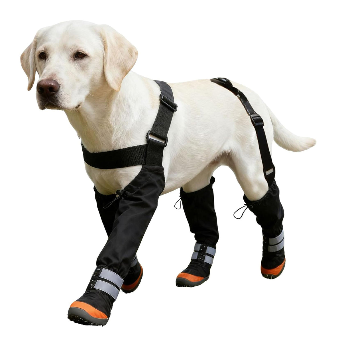 Pawlume Adjustable Anti-Slip Dog Shoes for Ultimate Paw Protection