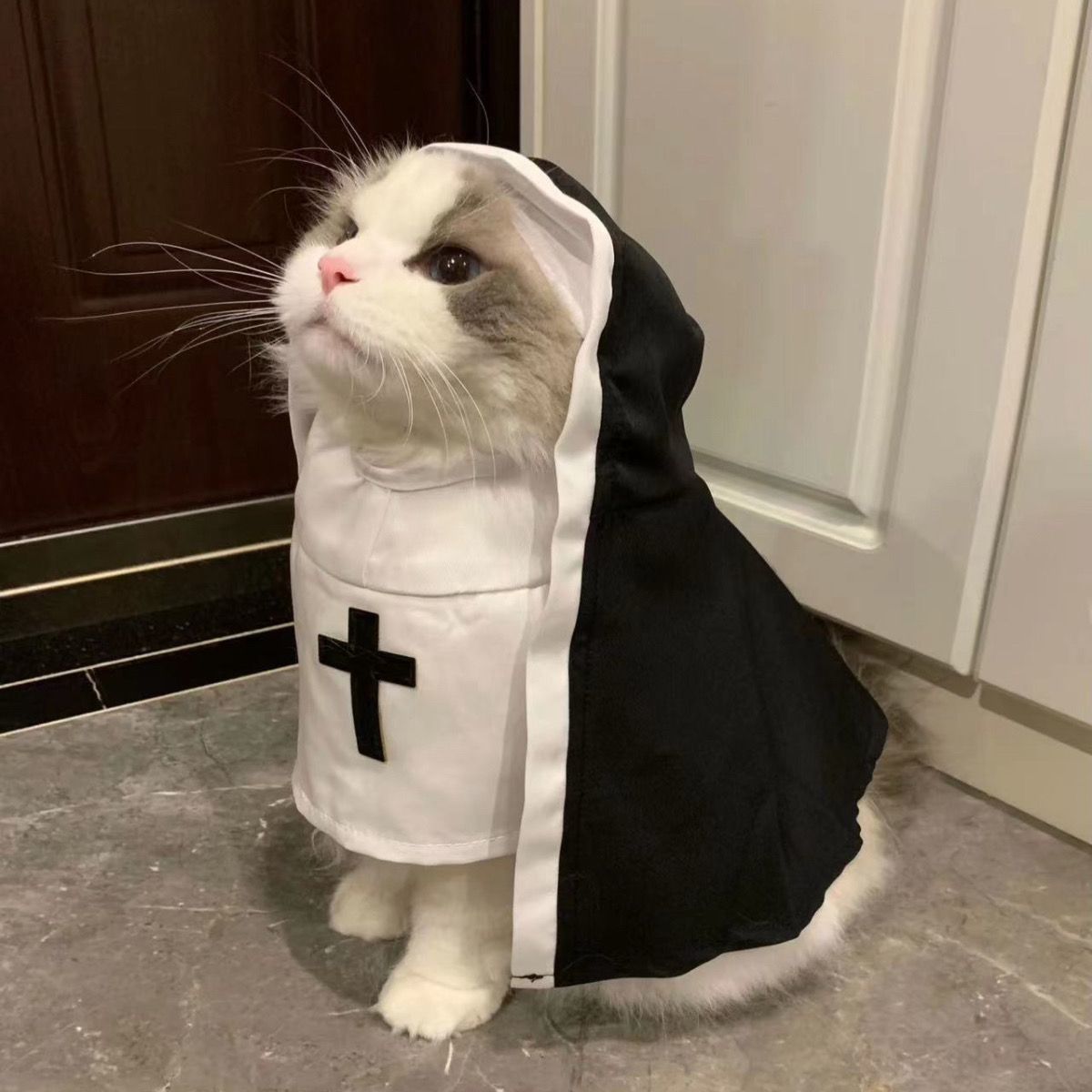 Pawlume Pet Nun Costume Halloween - Gothic Cloak for Pets