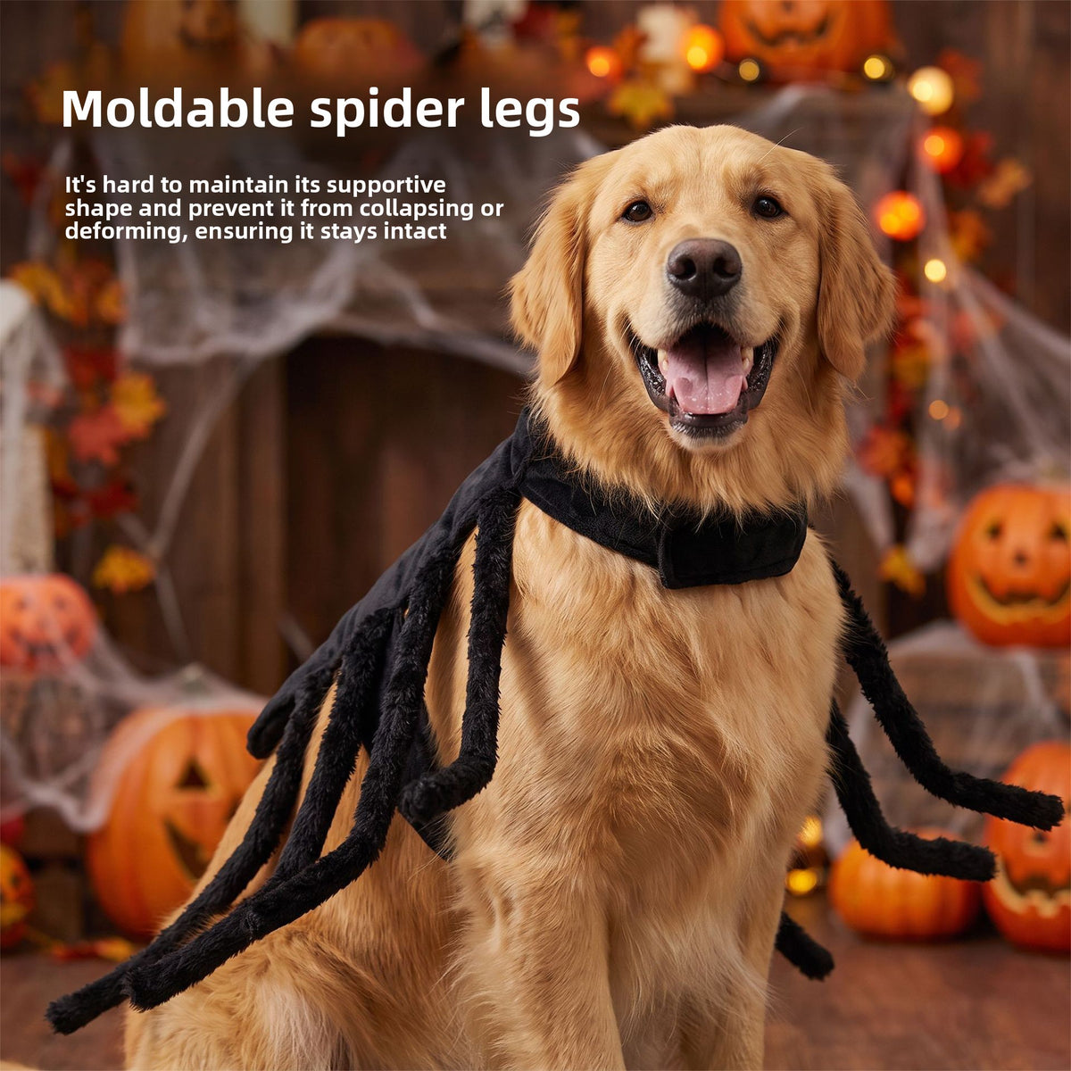 Pawlume Halloween Pet Harness Costume