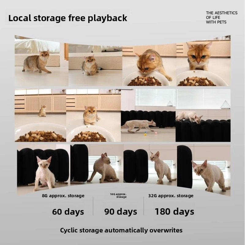 Pawlume Basic Automatic Pet Feeder