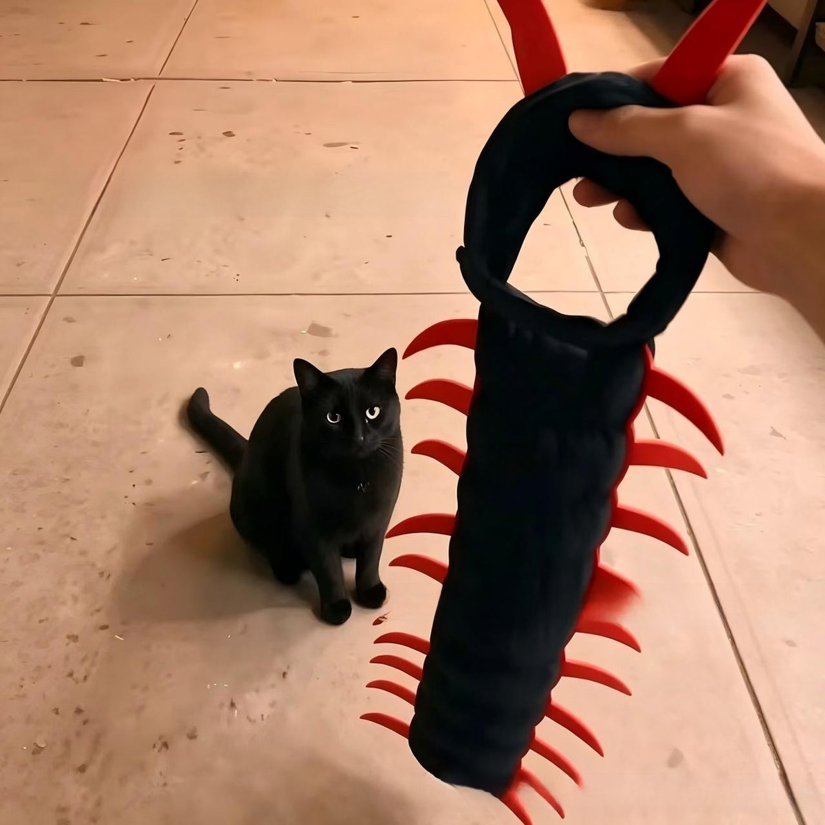 Pawlume Halloween Cockroach Pet Costume