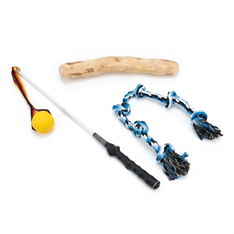 Pawlume Training & Chew Bundle