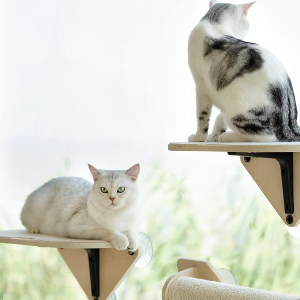 Pawlume Window Cat Corner Bundle