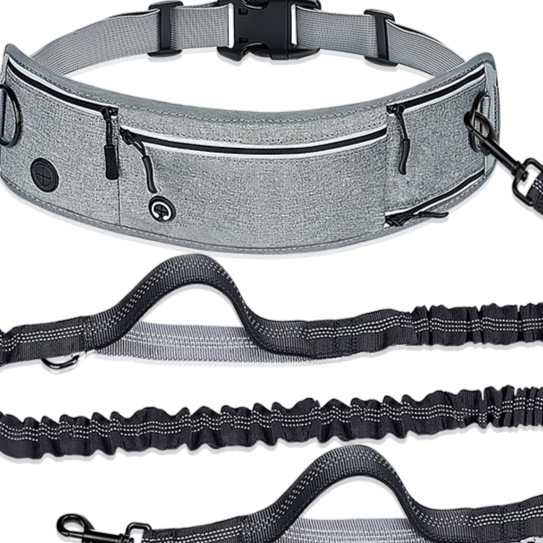 Pawlume Retractable Reflective Dog Leash and Waist Bag