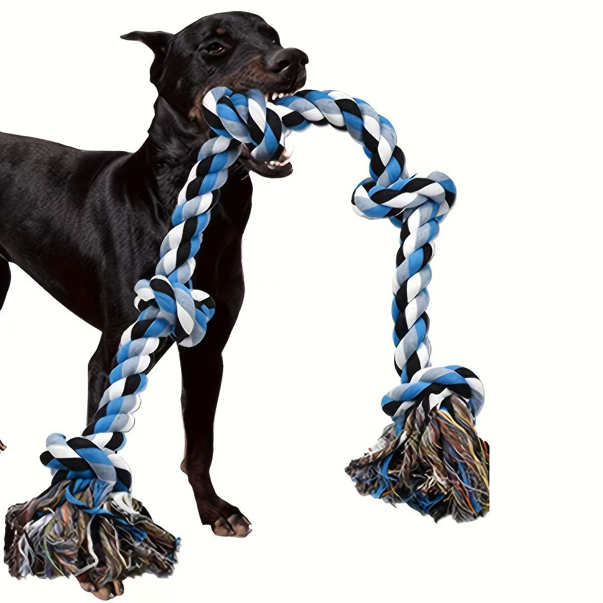 Pawlume Training & Chew Bundle