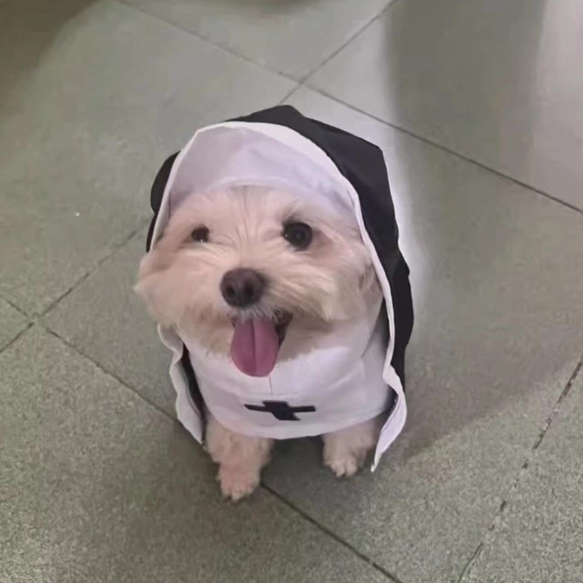 Pawlume Pet Nun Costume Halloween - Gothic Cloak for Pets
