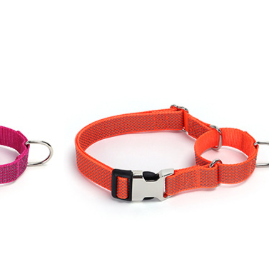 Pawlume Reflective Martingale Dog Collar: Safety Meets Style for Your Pup