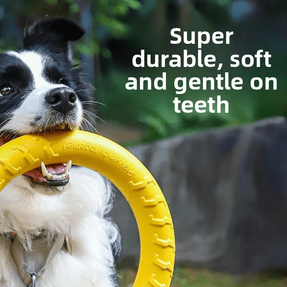 Pawlume Pet Frisbee Chewing Toy - Durable Fun for Your Furry Friend